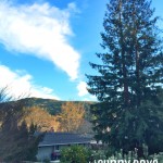Finding Home